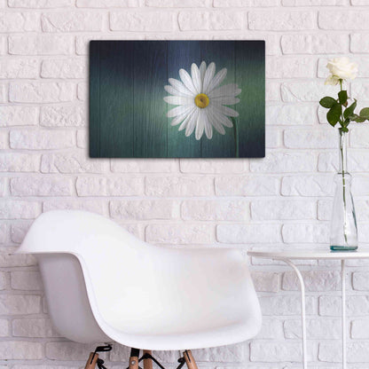 Luxe Metal Art 'Wood Series: A Daisy', Metal Wall Art,24x16