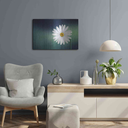 Luxe Metal Art 'Wood Series: A Daisy', Metal Wall Art,24x16