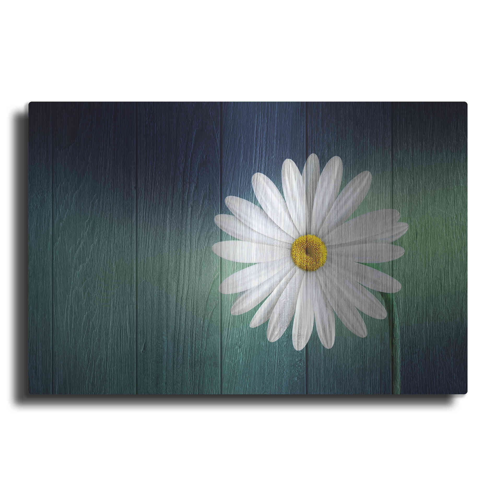 Luxe Metal Art 'Wood Series: A Daisy', Metal Wall Art