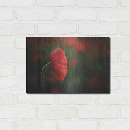 Luxe Metal Art 'Wood Series: A Red Poppy', Metal Wall Art,16x12