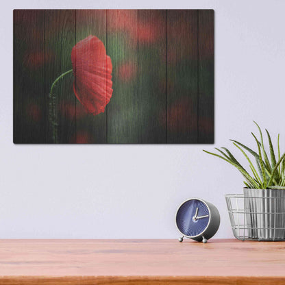 Luxe Metal Art 'Wood Series: A Red Poppy', Metal Wall Art,16x12