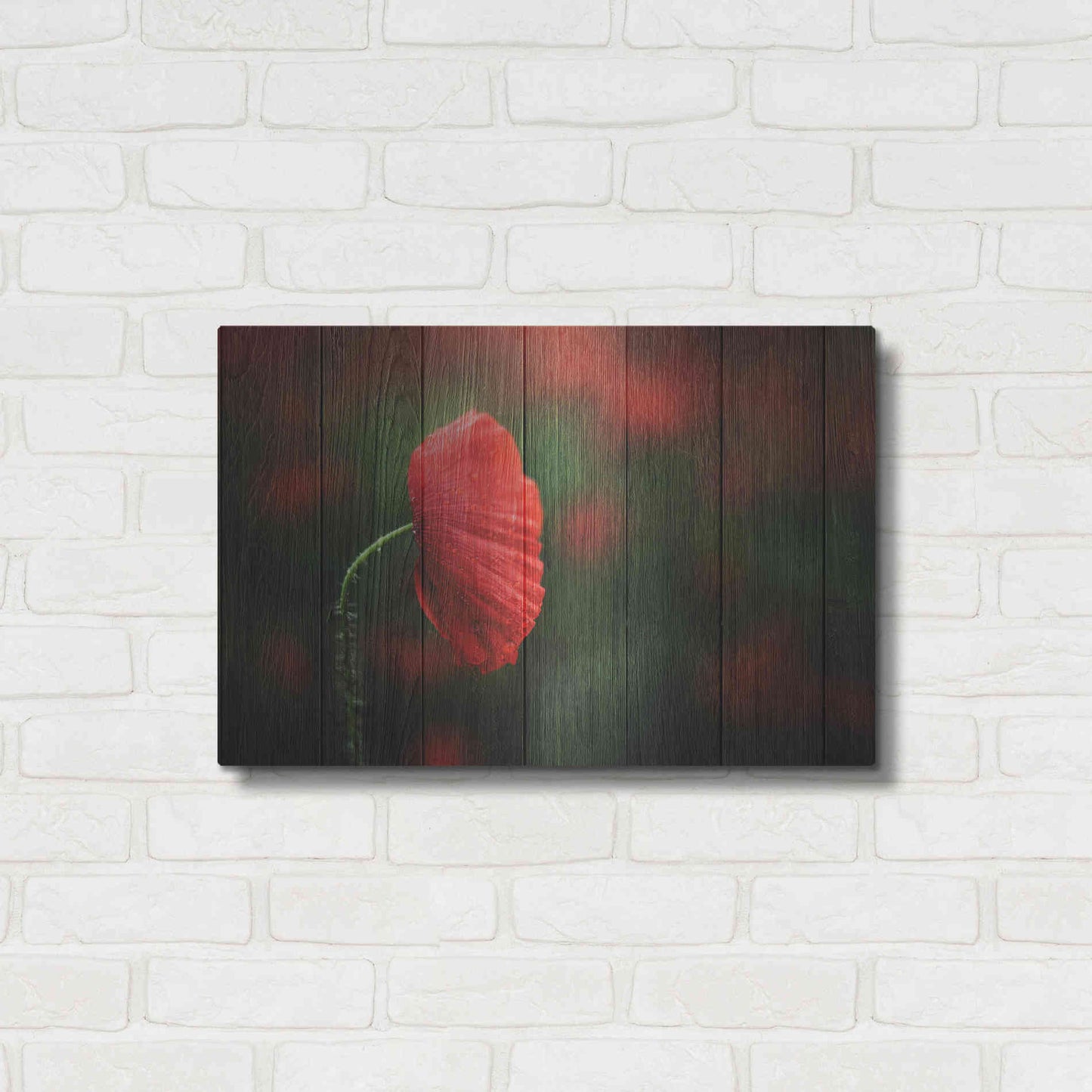 Luxe Metal Art 'Wood Series: A Red Poppy', Metal Wall Art,24x16