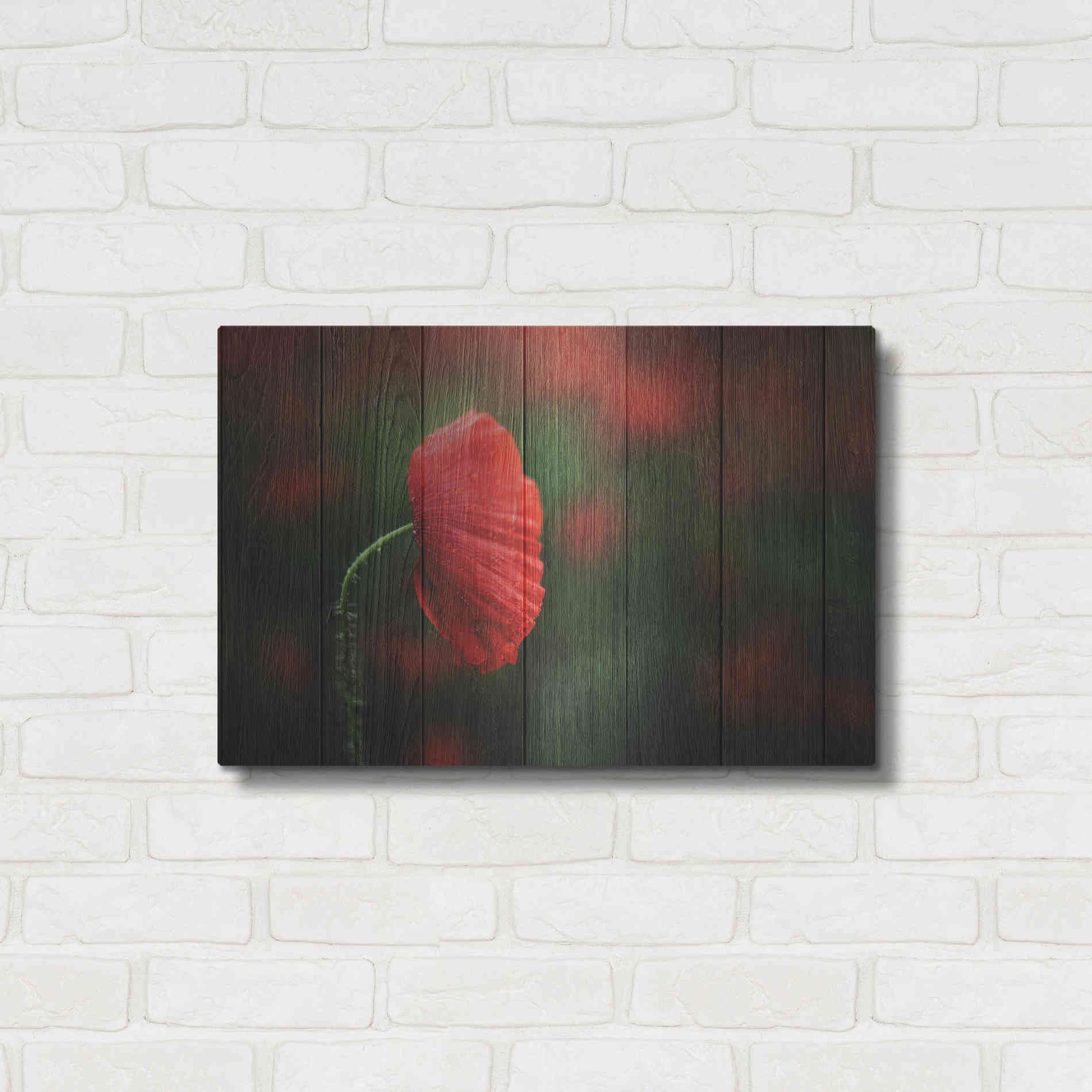 Luxe Metal Art 'Wood Series: A Red Poppy', Metal Wall Art,24x16