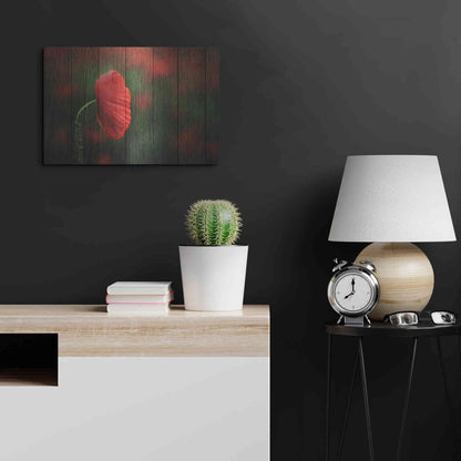 Luxe Metal Art 'Wood Series: A Red Poppy', Metal Wall Art,24x16