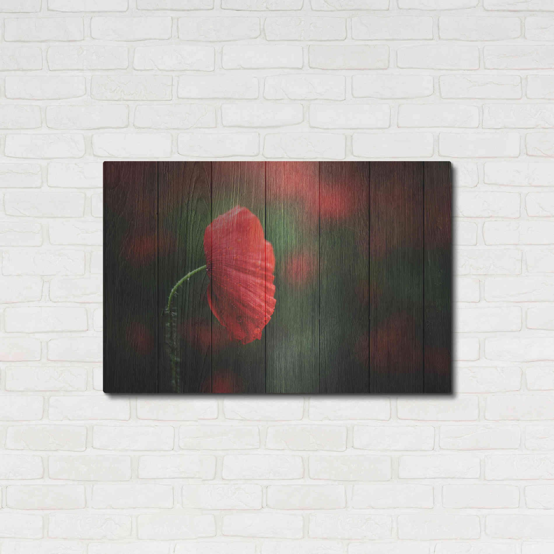 Luxe Metal Art 'Wood Series: A Red Poppy', Metal Wall Art,36x24