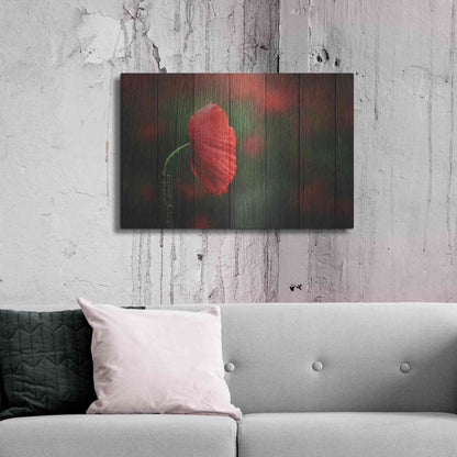 Luxe Metal Art 'Wood Series: A Red Poppy', Metal Wall Art,36x24