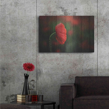 Luxe Metal Art 'Wood Series: A Red Poppy', Metal Wall Art,36x24