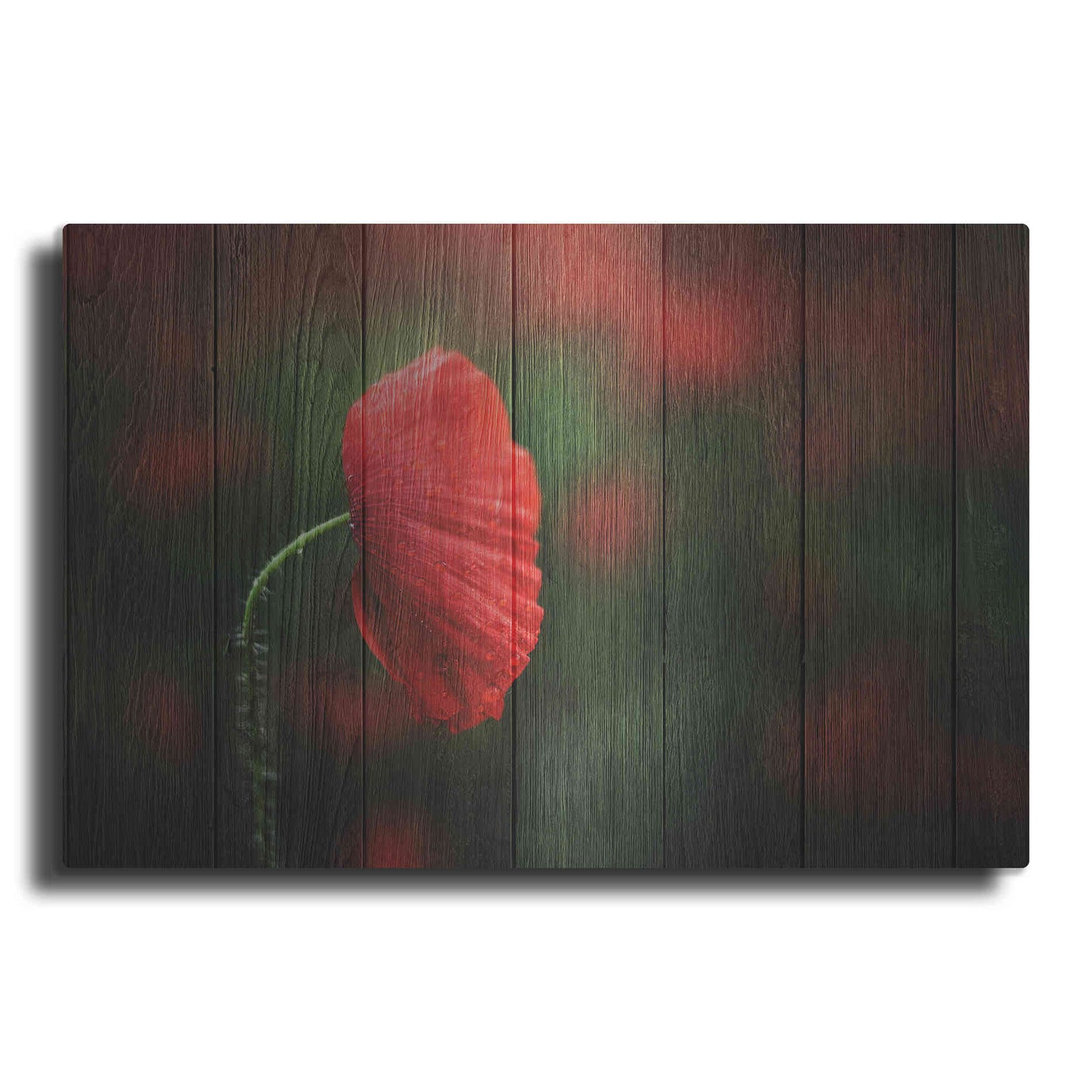 Luxe Metal Art 'Wood Series: A Red Poppy', Metal Wall Art