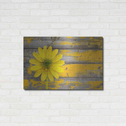 Luxe Metal Art 'Wood Series: Rustic Daisy', Metal Wall Art,36x24