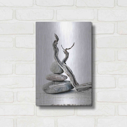 Luxe Metal Art 'Elemental Zen' by Elena Ray, Metal Wall Art,12x16