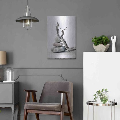 Luxe Metal Art 'Elemental Zen' by Elena Ray, Metal Wall Art,16x24