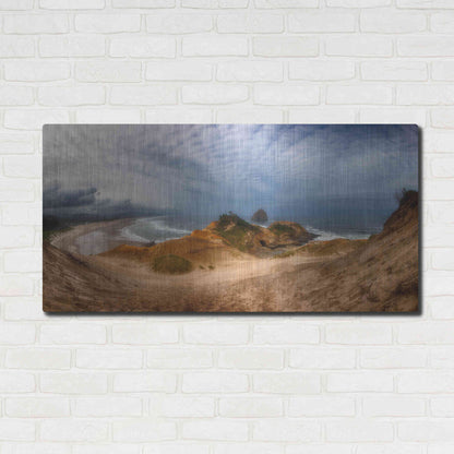 Luxe Metal Art 'Kiwanda' by Darren White, Metal Wall Art,48x24