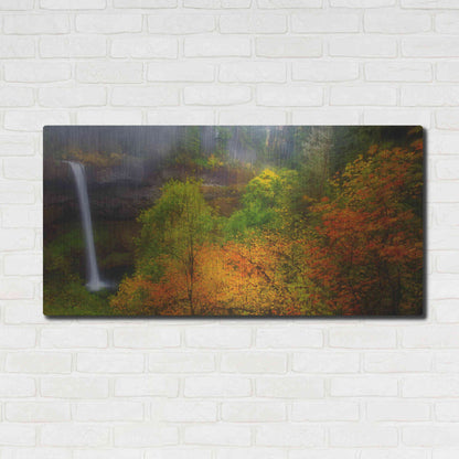 Luxe Metal Art 'Silver Falls' by Darren White, Metal Wall Art,48x24