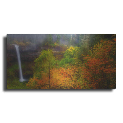 Luxe Metal Art 'Silver Falls' by Darren White, Metal Wall Art,2:1 L