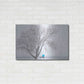 Luxe Metal Art 'Another Winter Alone' by Darren White, Metal Wall Art,36x24