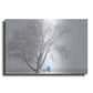 Luxe Metal Art 'Another Winter Alone' by Darren White, Metal Wall Art