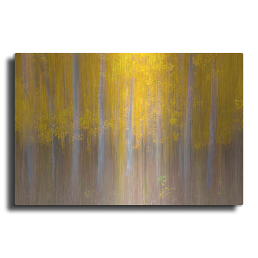 Luxe Metal Art 'Changing Seasons' by Darren White, Metal Wall Art