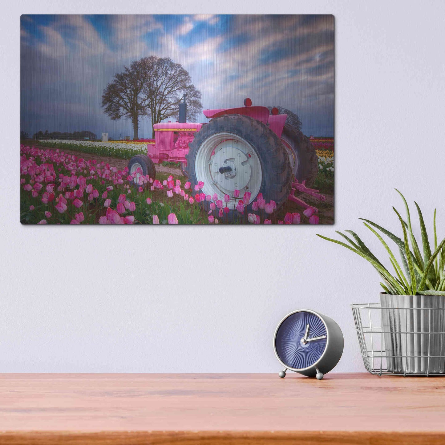 Luxe Metal Art 'Jane Deere' by Darren White, Metal Wall Art,16x12