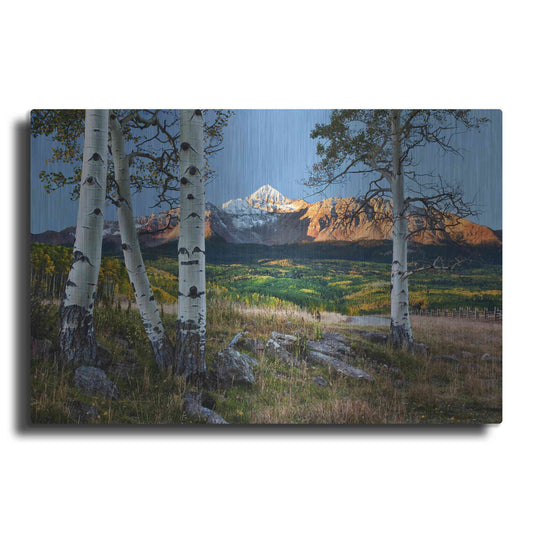 Luxe Metal Art 'Wilson Peak,', Metal Wall Art