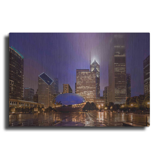 Luxe Metal Art 'The Bean in Autumn Rain,', Metal Wall Art