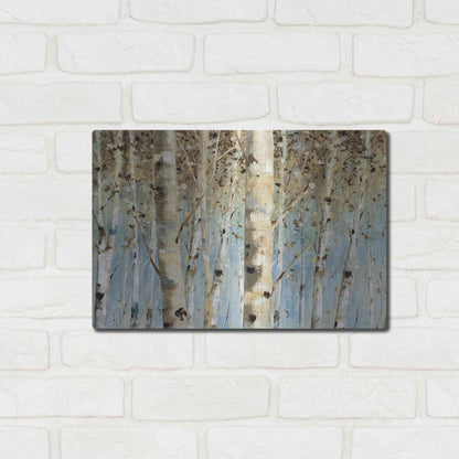 Luxe Metal Art 'White Forest' by Lisa Audit, Metal Wall Art,,16x12