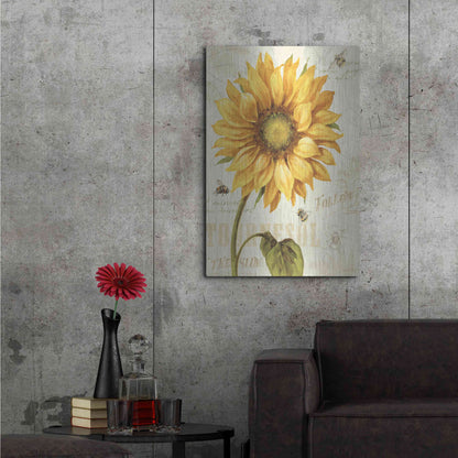 Luxe Metal Art 'Under The Sun I' by Lisa Audit, Metal Wall Art,,24x36