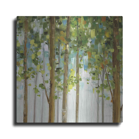 Luxe Metal Art 'Forest Study' by Lisa Audit, Metal Wall Art,