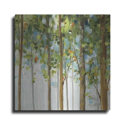 Luxe Metal Art 'Forest Study III' by Lisa Audit, Metal Wall Art,