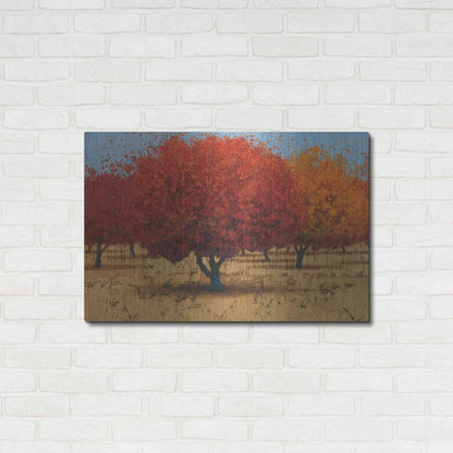 Luxe Metal Art 'Orange Trees II' by James Wiens, Metal Wall Art,36x24