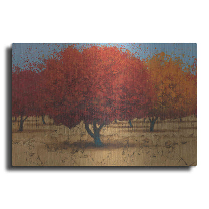 Luxe Metal Art 'Orange Trees II' by James Wiens, Metal Wall Art