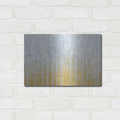 Luxe Metal Art 'Silver Water GOLD' by James Wiens, Metal Wall Art,16x12