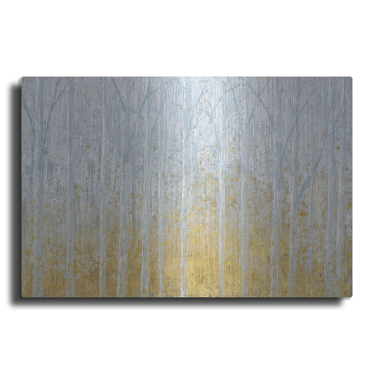 Luxe Metal Art 'Silver Water GOLD' by James Wiens, Metal Wall Art