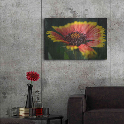 Luxe Metal Art 'Wood Series: Sunburst', Metal Wall Art,36x24