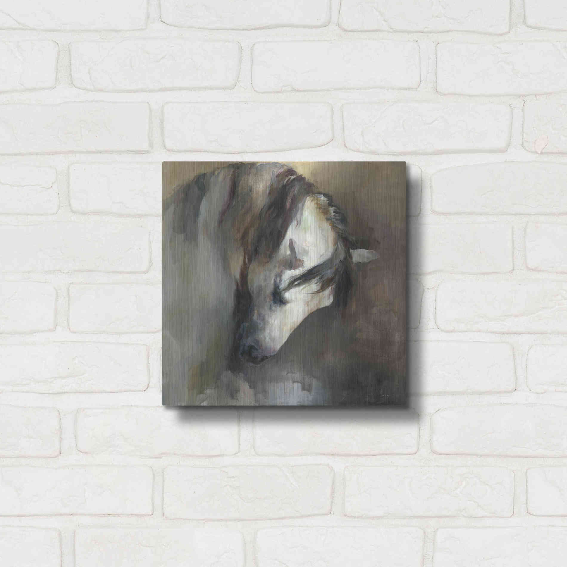 Luxe Metal Art 'Classical Horse' by Marilyn Hageman, Metal Wall Art,12x12