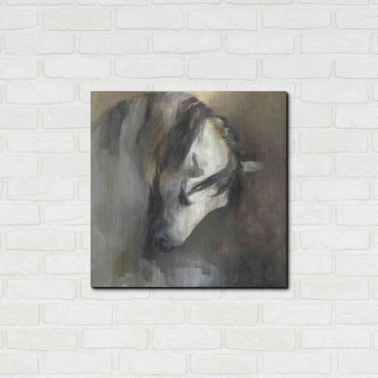 Luxe Metal Art 'Classical Horse' by Marilyn Hageman, Metal Wall Art,24x24