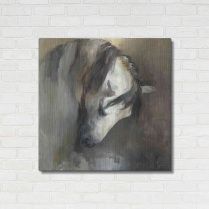 Luxe Metal Art 'Classical Horse' by Marilyn Hageman, Metal Wall Art,36x36