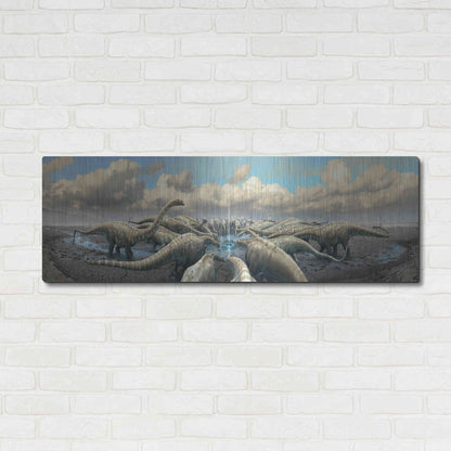Luxe Metal Art 'Moment Before Extinction', Metal Wall Art,48x16