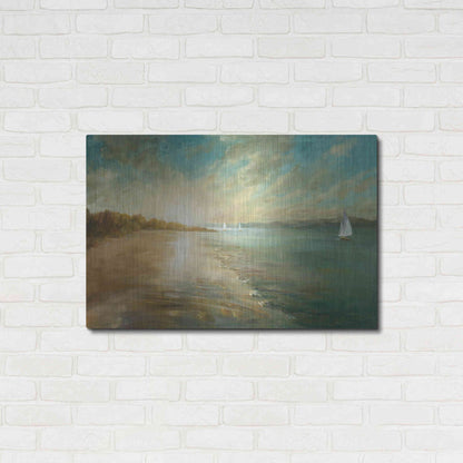 Luxe Metal Art 'Coastal Glow' by Danhui Nai, Metal Wall Art,36x24