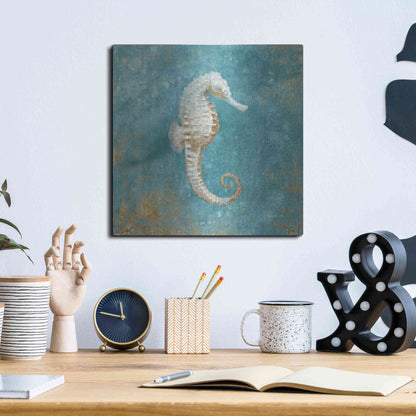 Luxe Metal Art 'Treasures From The Sea I' by Danhui Nai, Metal Wall Art,12x12