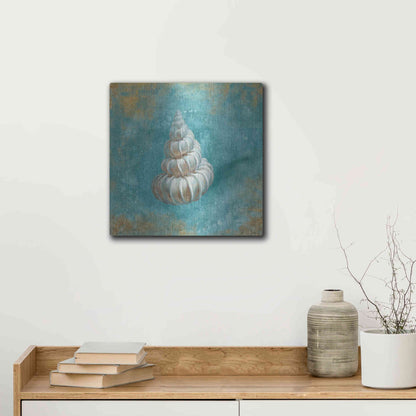 Luxe Metal Art 'Treasures From The Sea II' by Danhui Nai, Metal Wall Art,12x12