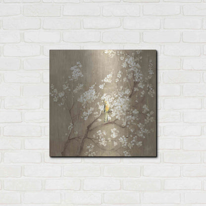 Luxe Metal Art 'White Cherry Blossom I Neutral' by Danhui Nai, Metal Wall Art,24x24