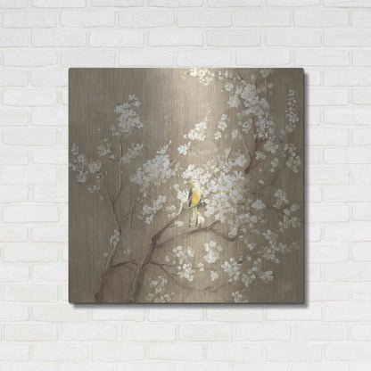 Luxe Metal Art 'White Cherry Blossom I Neutral' by Danhui Nai, Metal Wall Art,36x36