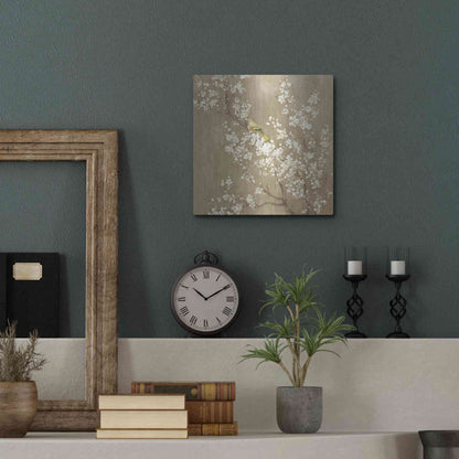 Luxe Metal Art 'White Cherry Blossom II Neutral' by Danhui Nai, Metal Wall Art,12x12