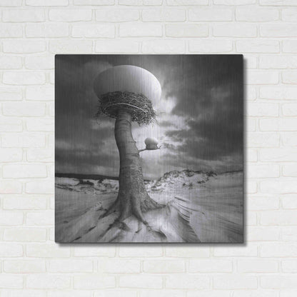 Luxe Metal Art '2nests' by Dariusz Klimczak, Metal Wall Art,36x36