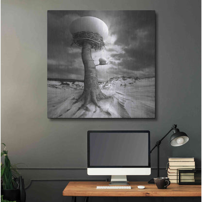 Luxe Metal Art '2nests' by Dariusz Klimczak, Metal Wall Art,36x36