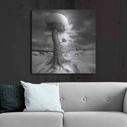 Luxe Metal Art '2nests' by Dariusz Klimczak, Metal Wall Art,36x36