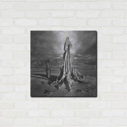 Luxe Metal Art 'Archetype' by Dariusz Klimczak, Metal Wall Art,24x24