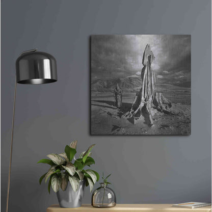 Luxe Metal Art 'Archetype' by Dariusz Klimczak, Metal Wall Art,24x24