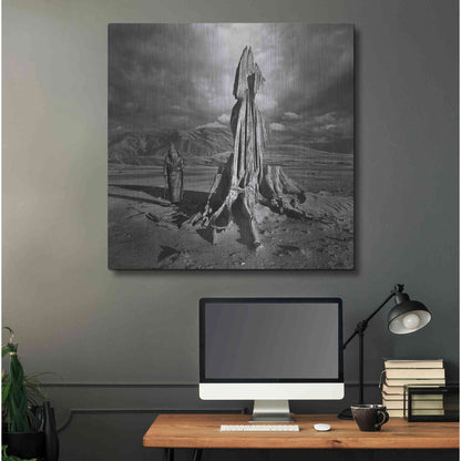 Luxe Metal Art 'Archetype' by Dariusz Klimczak, Metal Wall Art,36x36