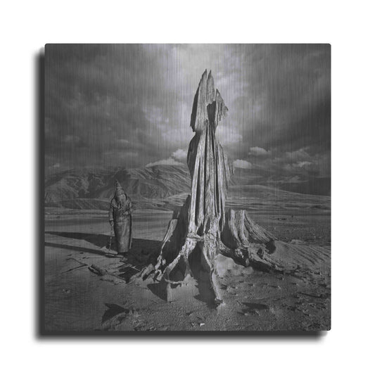 Luxe Metal Art 'Archetype' by Dariusz Klimczak, Metal Wall Art